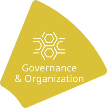 Governance Infographic